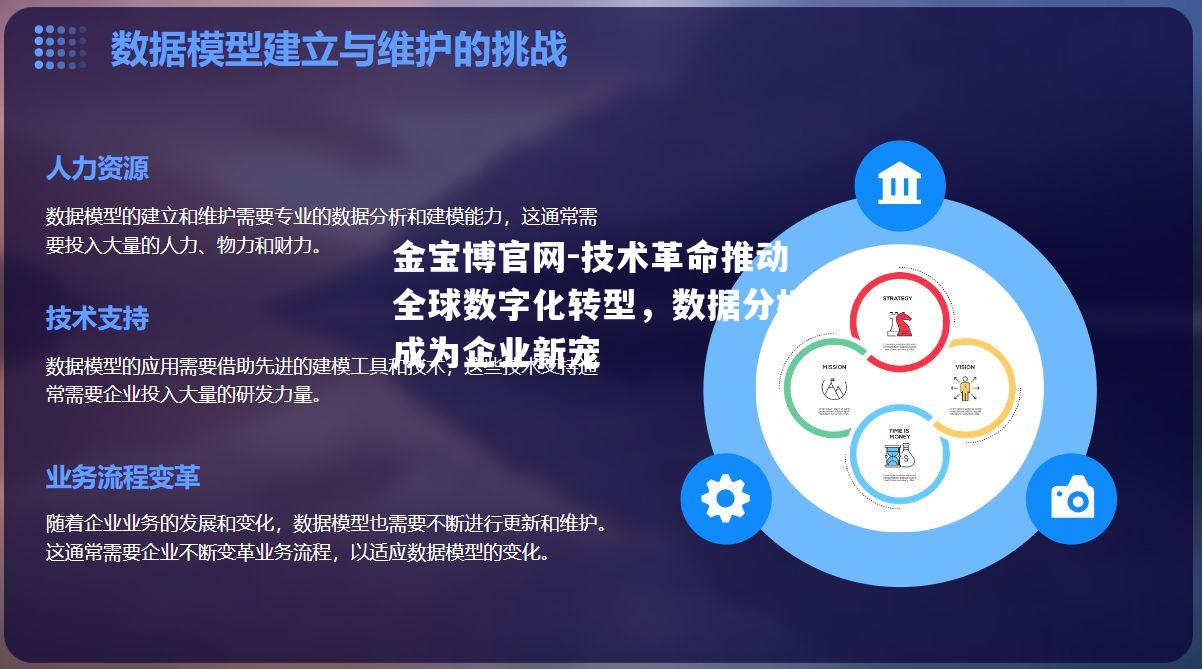 技术革命推动全球数字化转型，数据分析成为企业新宠