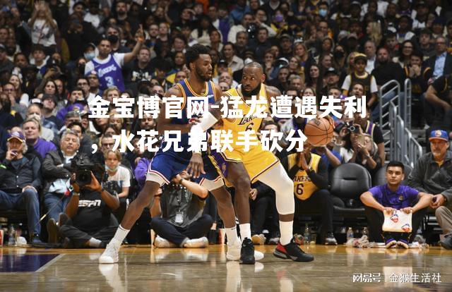 猛龙遭遇失利，水花兄弟联手砍分