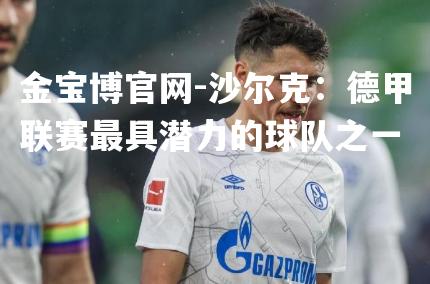 沙尔克：德甲联赛最具潜力的球队之一