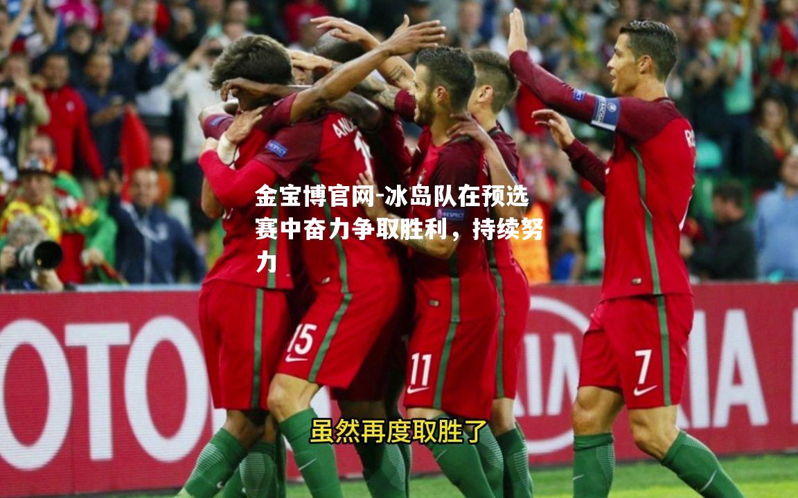 冰岛队在预选赛中奋力争取胜利，持续努力