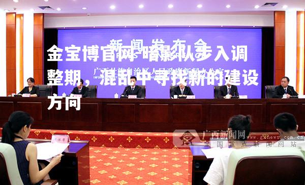 暗影队步入调整期，混乱中寻找新的建设方向