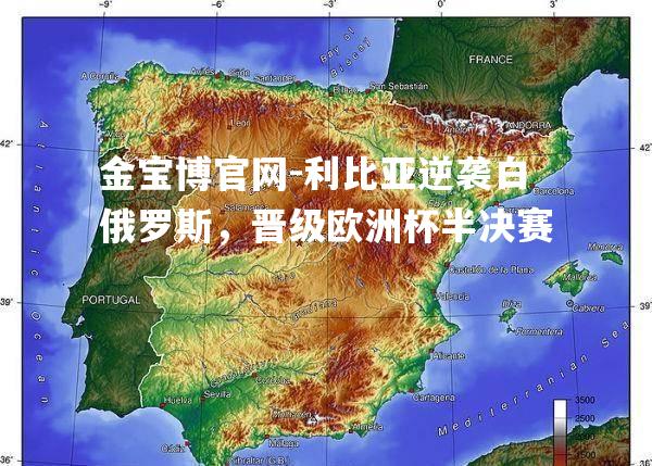 利比亚逆袭白俄罗斯，晋级欧洲杯半决赛