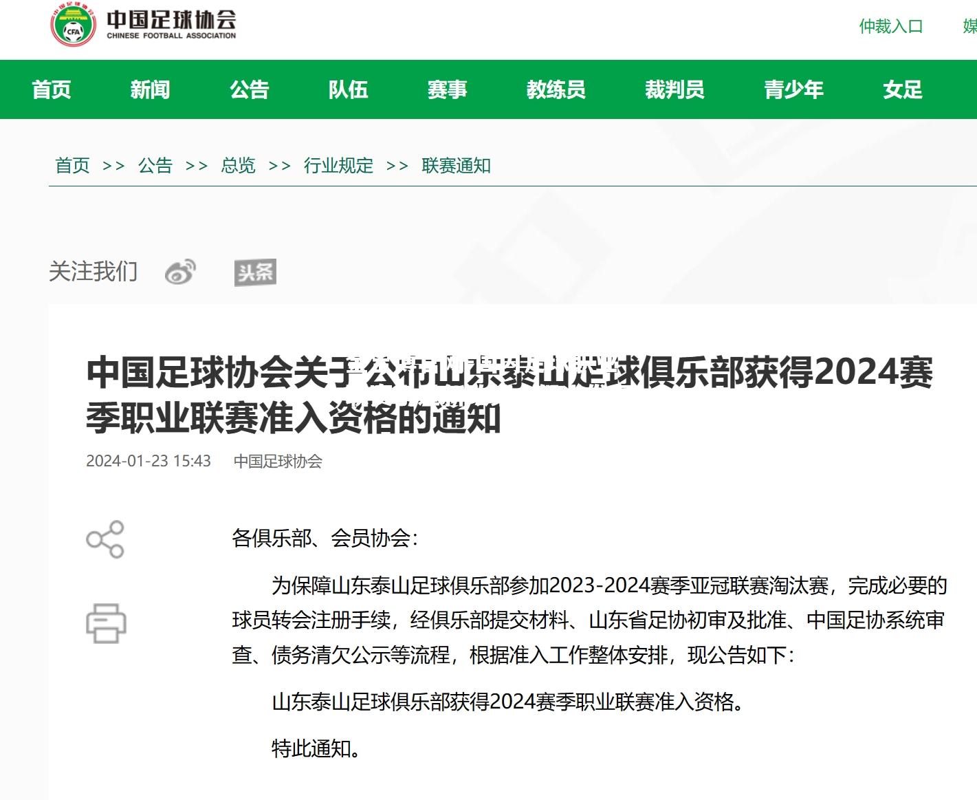 国内足球职业联赛引进新政策，促进发展