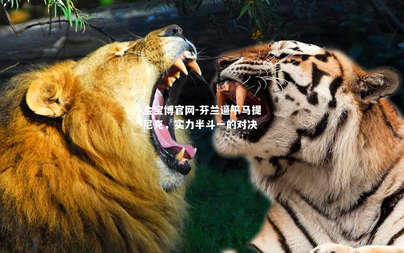 芬兰逼平马提尼克，实力半斗一的对决